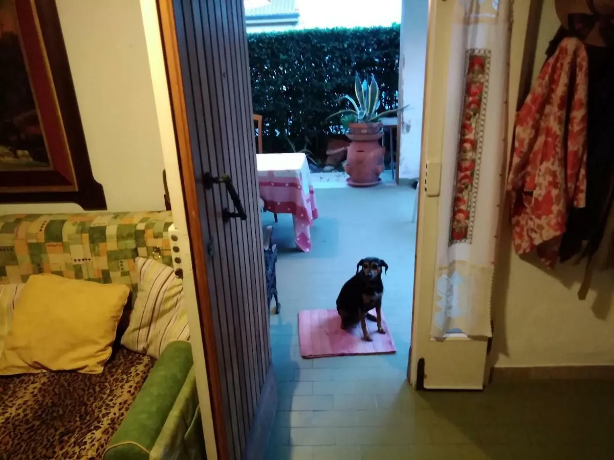 Villetta Stella Cecina  Apartment